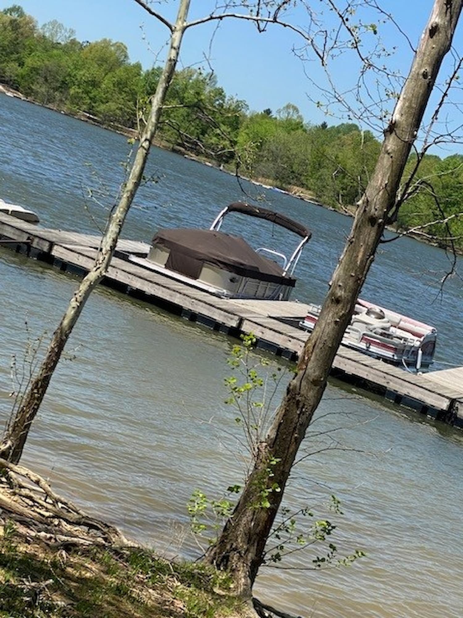 Boat dock on the lake